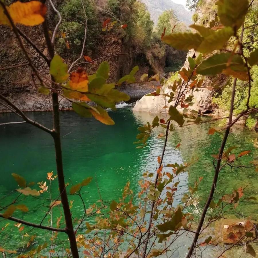 Willa Refugio Del Salto -Radal 7 Tazas Molina  Zewnętrze zdjęcie